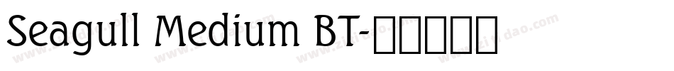 Seagull Medium BT字体转换